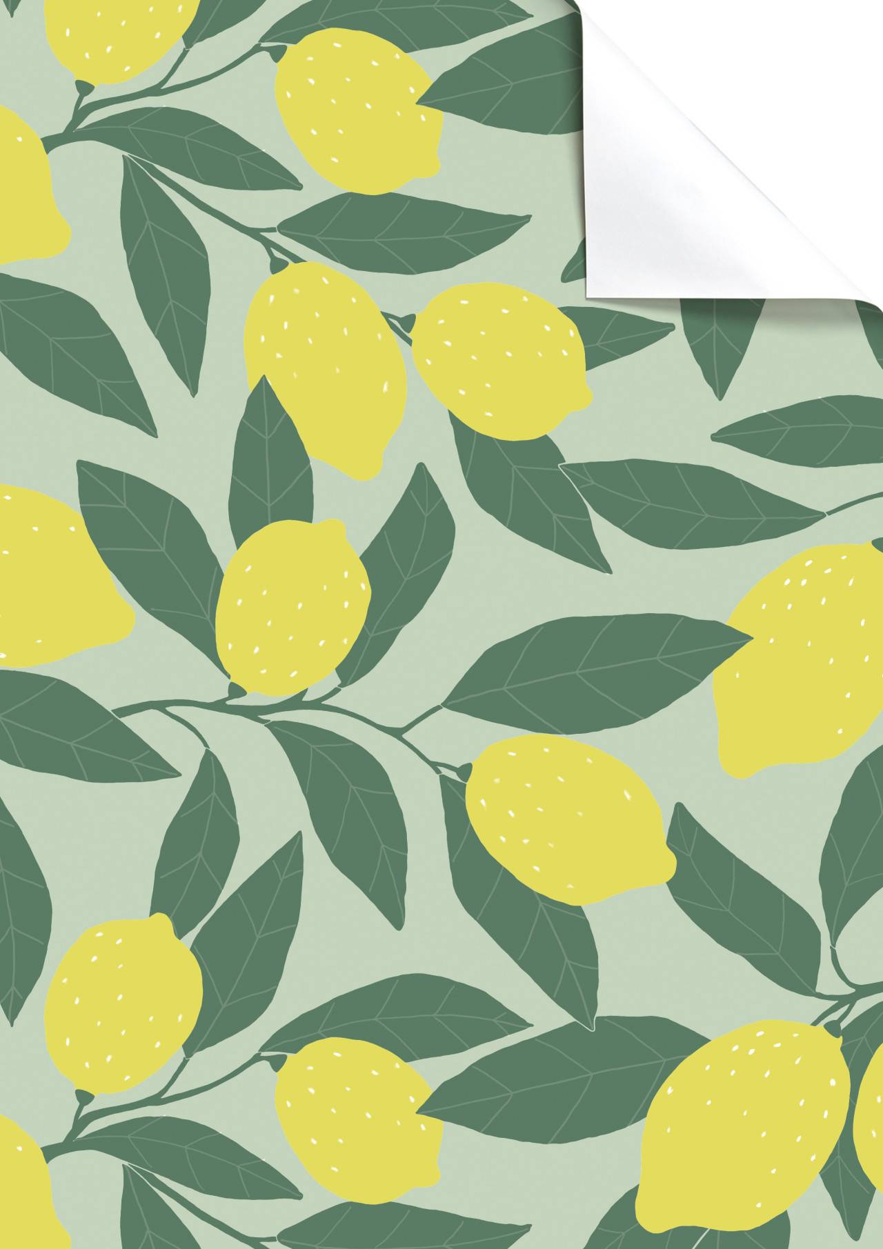 Sheet Everyday 2026 – versatile for jewelry