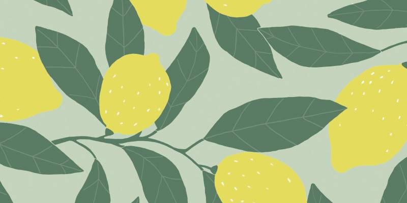 Wrapping paper summer 2025