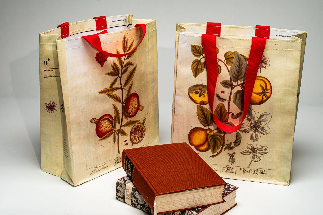 Personalisierte Tragtasche für Bücher, Ordner, PP woven